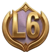 Level 6